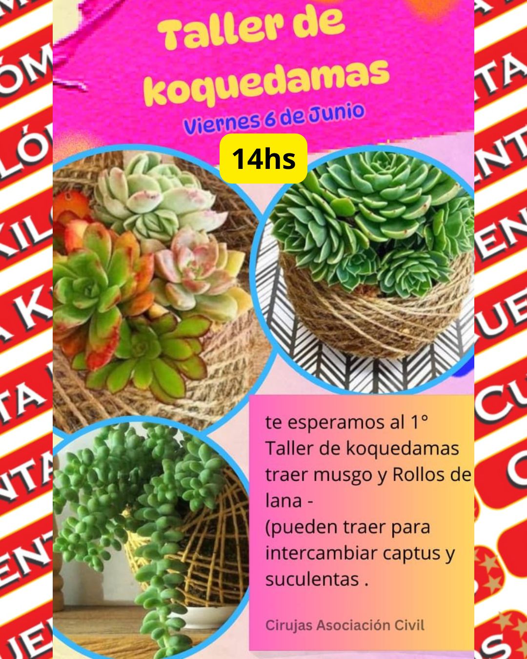 TALLER DE KOQUEDAMAS EN CIRUJAS
